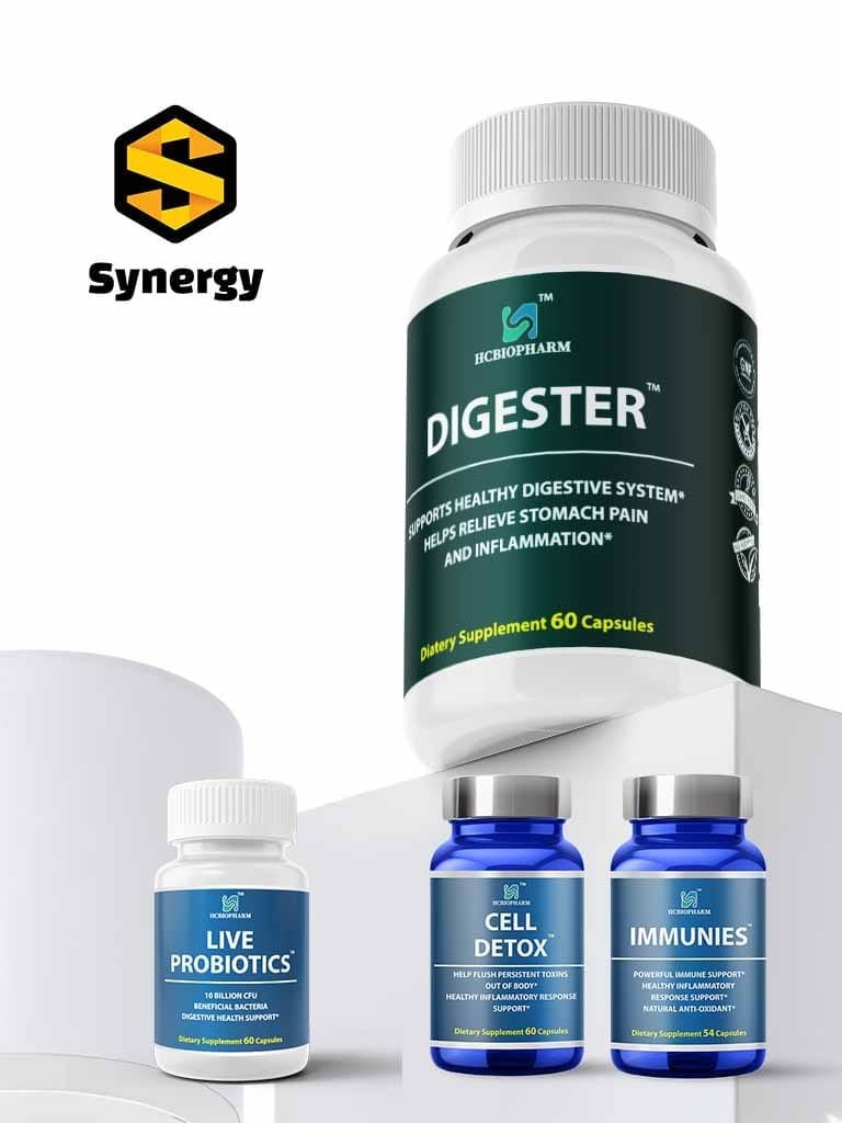 다이제스터 (세트)